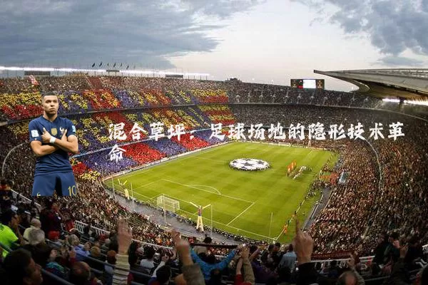 混合草坪：足球场地的隐形技术革命